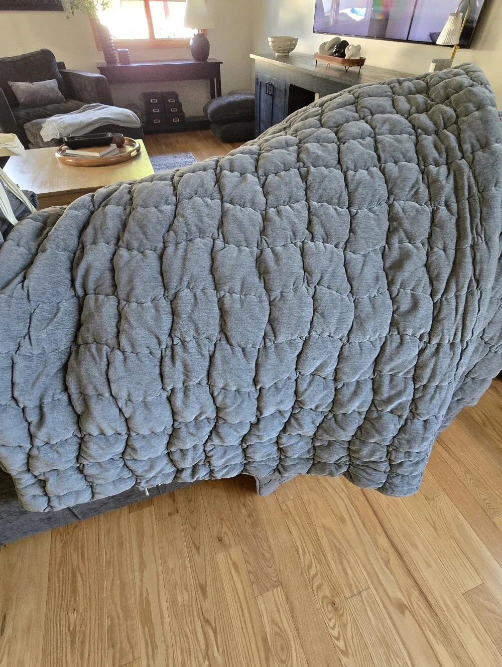 Pottery Barn Cozy Cloud Plush Quilted Comforter - Soft Gray (Steel Blue)